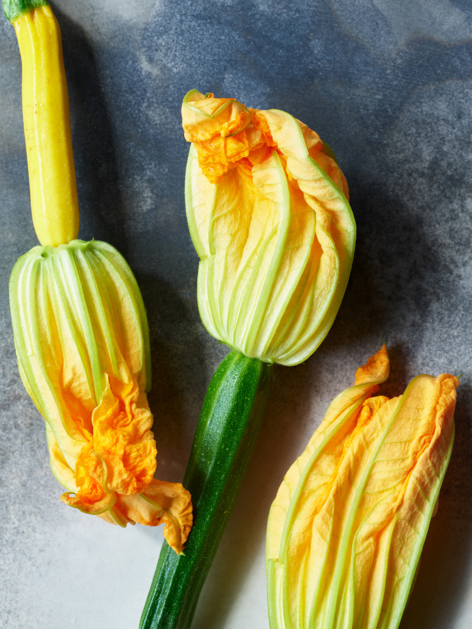 05_02_22_GreenO_CookBook_Spring_Spring_Ingredients_Squash_Blossom_56004_