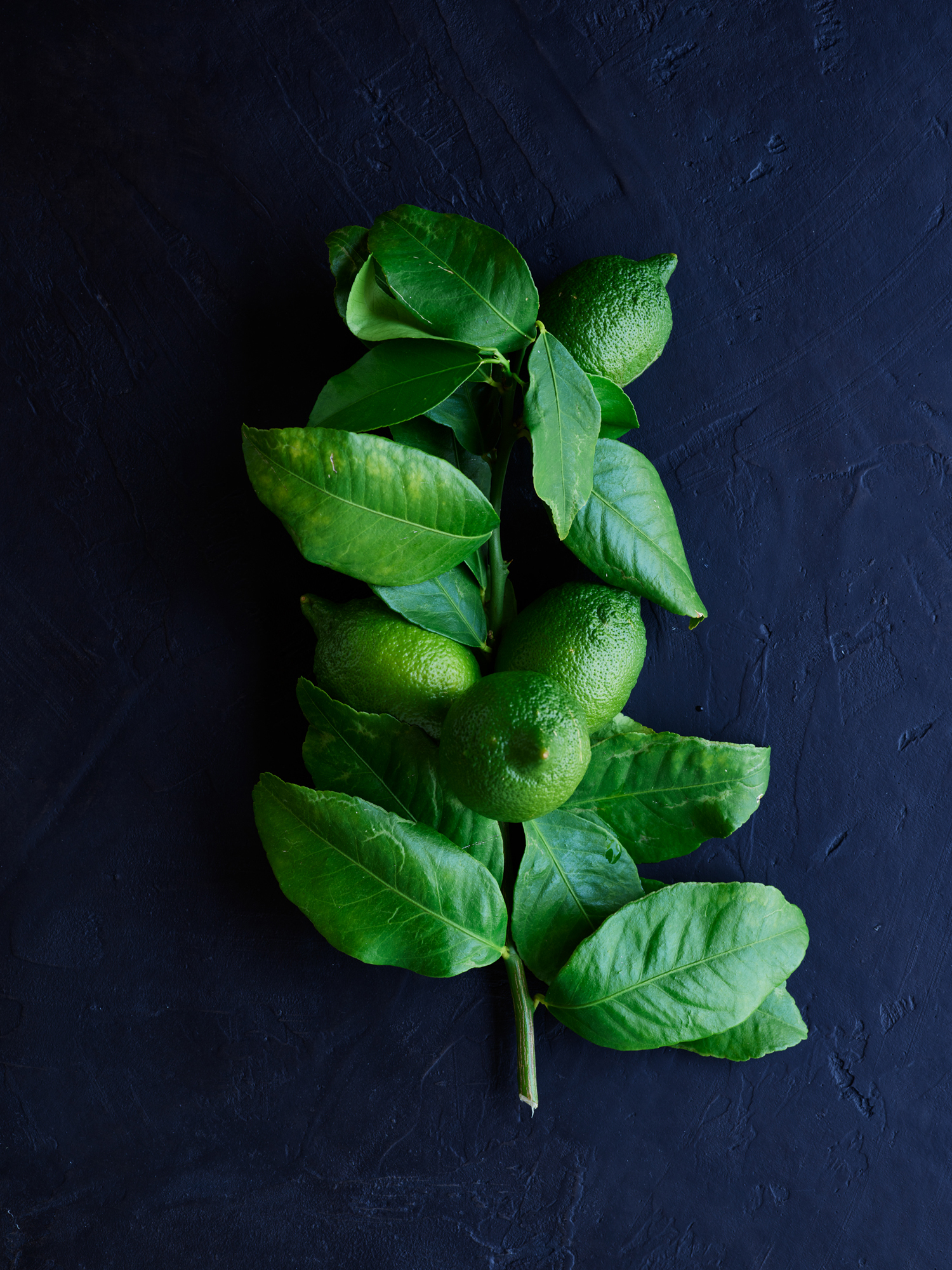 Green_O_Limes_60311