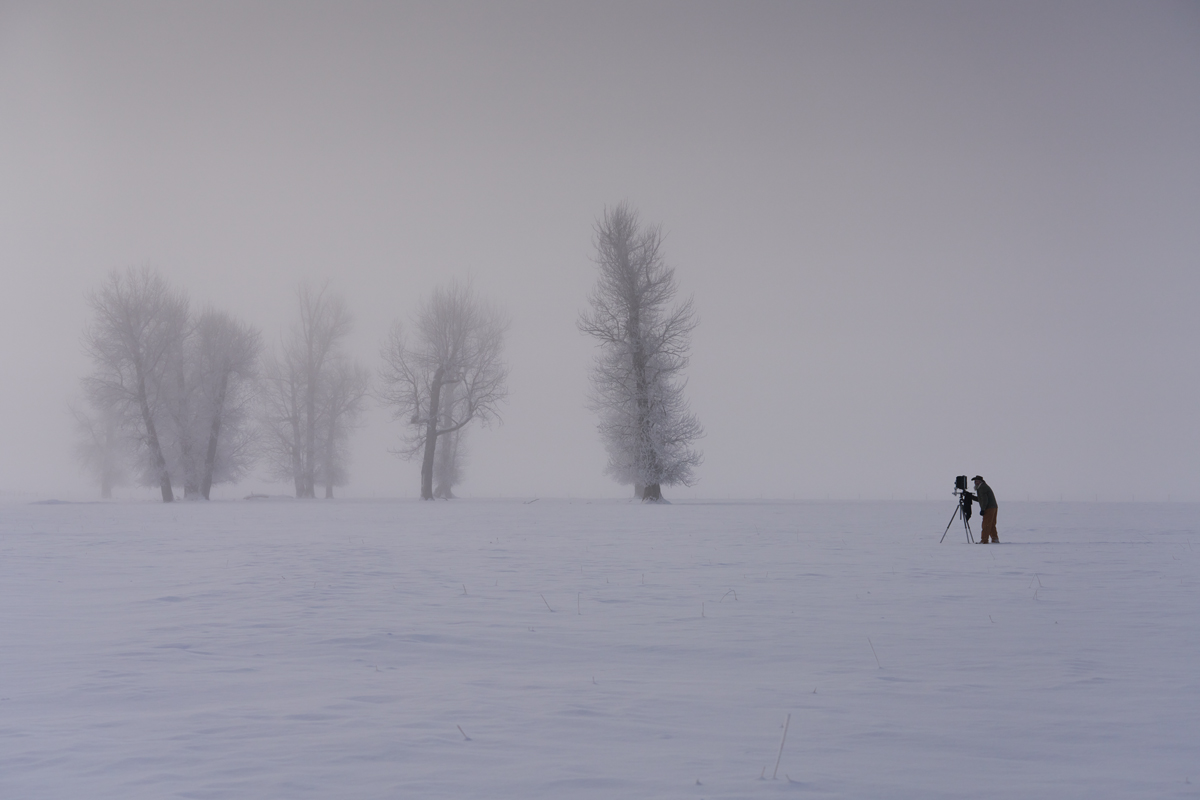 PawsUP_WinterCapture_4665